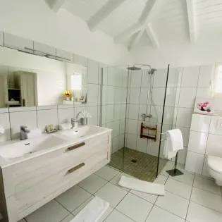 10.1 la montagne primary bathroom SBP