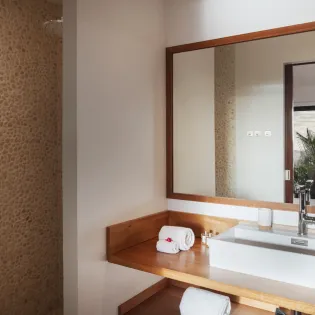 11.1 what else bathroom 4 SBP