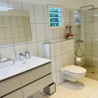 12.1 la montagne guest bathroom SBP