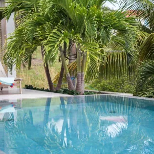 3 vacation rental photo St Barthelemy WV CBA Villa Palm St Barts Villa cbapol03 desktop SBP