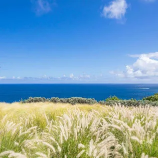 5 vacation rental photo St Barthelemy WV SEA Villa Seaweed St Barts Villa SEAviw01 desktop SBP