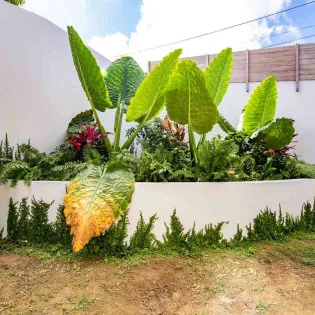 8 vacation rental photo St Barthelemy WV APE Villa Au Paille En Queue St Barts Villa APEext02 desktop SBP
