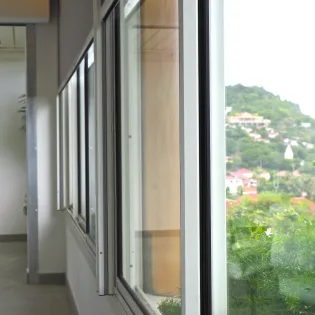 les_jardins_de_gustavia