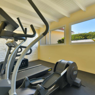 3 St Barts Villa CADgym01 SBP