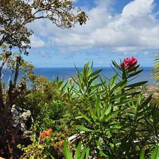  vacation rental photo St Barthelemy WV CHO Villa  st barts villa choviw02 desktop