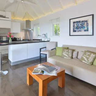  vacation rental photo St Barthelemy WV APN Villa Alphane St Barts Villa apnliv01 desktop SBP