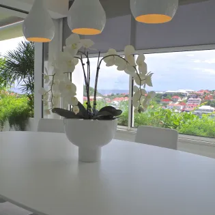 les_jardins_de_gustavia