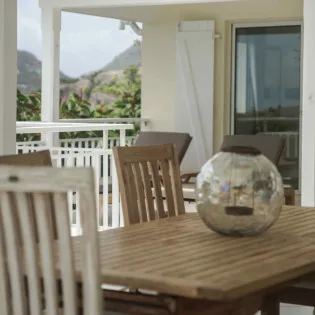 St Barts Villa RELter2 SBP